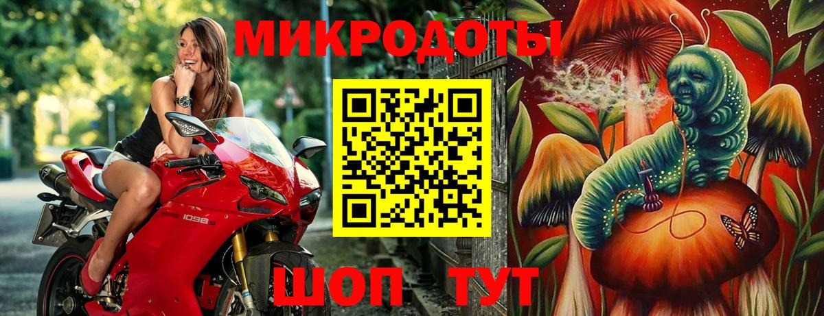Псилоцибиновые грибы мицелий Волжск